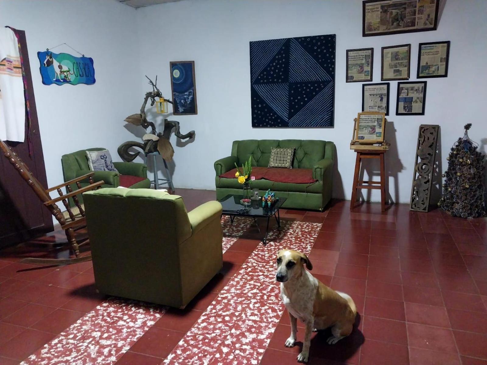 Appartement Casaca à Concepción de Ataco Extérieur photo